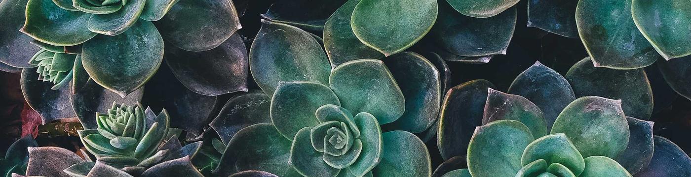 知序App下载 - 商家开店 用户购物 一站式服务